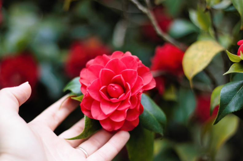 Kurs Judyta www.warszawa.galilea.pl