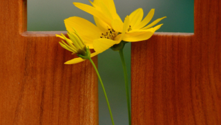 Kurs Nowe Życie www.warszawa.galilea.pl